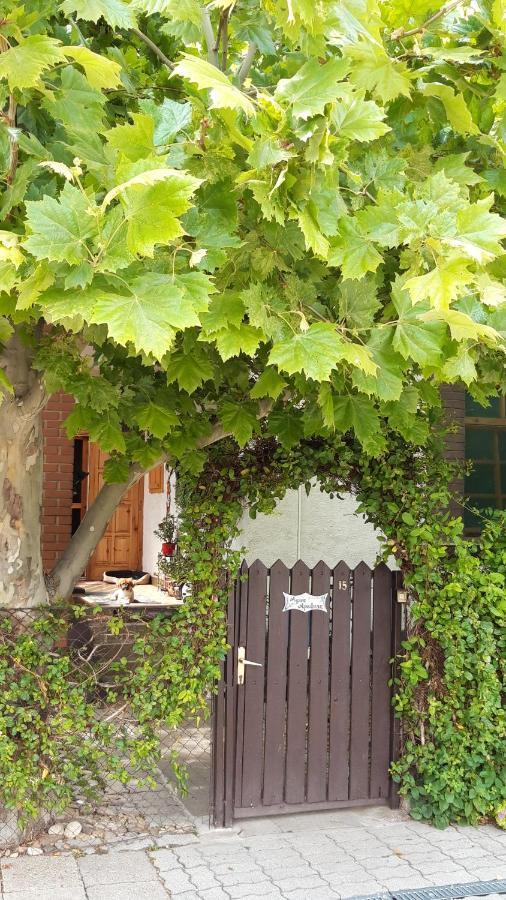 Agave Apartman ヴァレンツァ エクステリア 写真