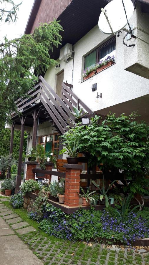Agave Apartman ヴァレンツァ エクステリア 写真