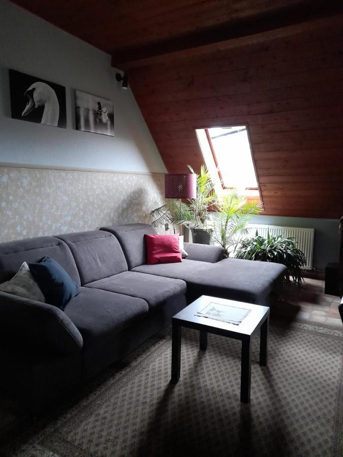 Agave Apartman ヴァレンツァ エクステリア 写真